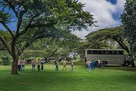 Explore Eburru forest