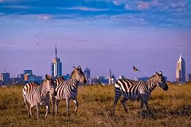 Nairobi National Park
