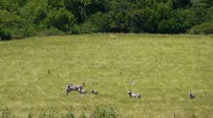 Ndere Island National Park