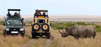 Safari in Lake Nakuru